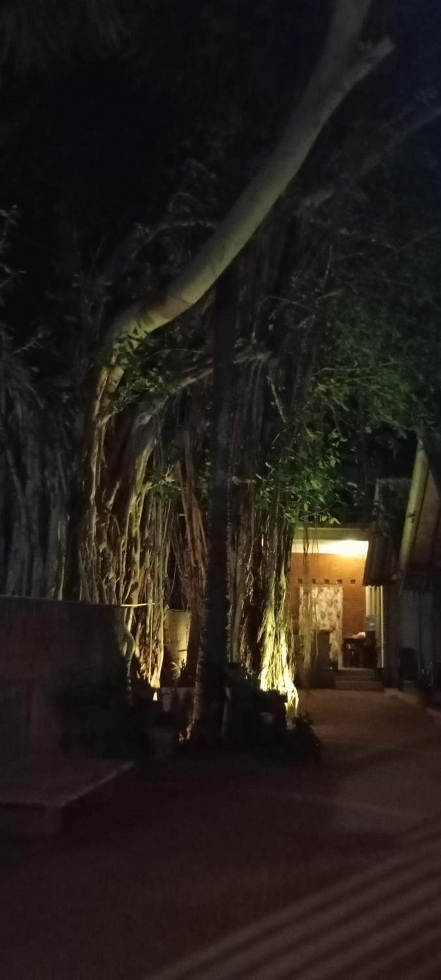 Cool Banyan Cabana Trincomalee Exterior foto
