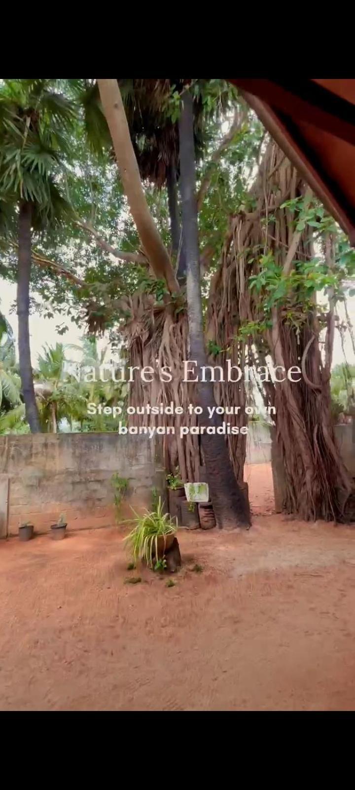Cool Banyan Cabana Trincomalee Exterior foto